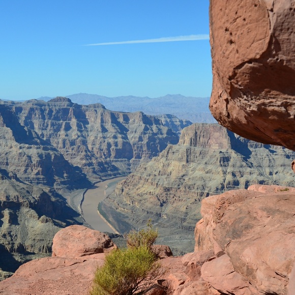 Meet your Posher, Clarissa - Picture 1 of 1